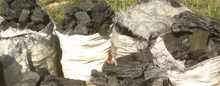 A boost for sustainable charcoal production